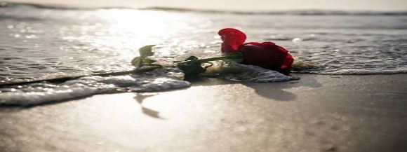 Stimmungsbild-Sanny Canthal-Mähler-1